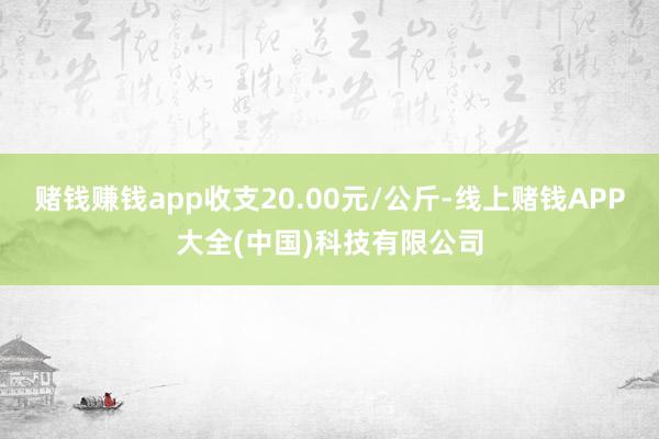 赌钱赚钱app收支20.00元/公斤-线上赌钱APP大全(中国)科技有限公司